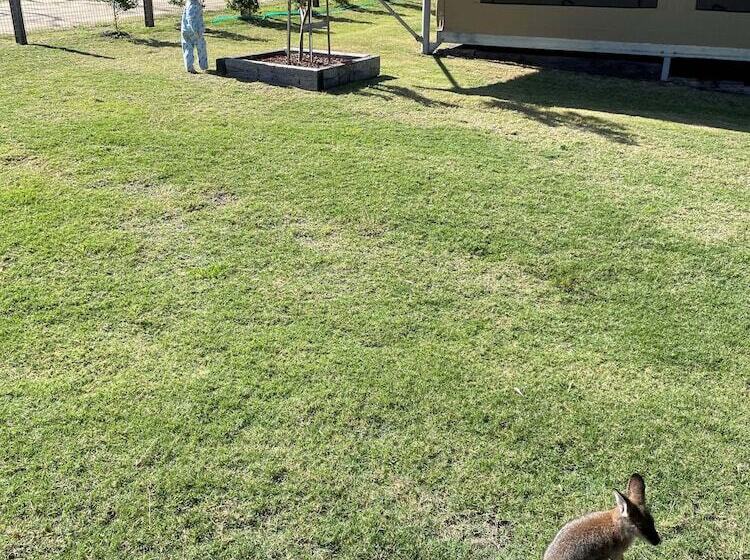 Crowdy Bay Eco Resort