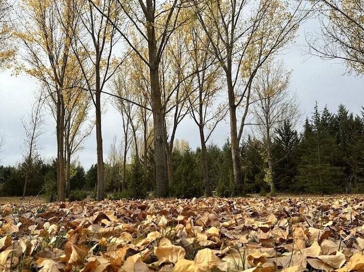 Finca Paraíso Rural