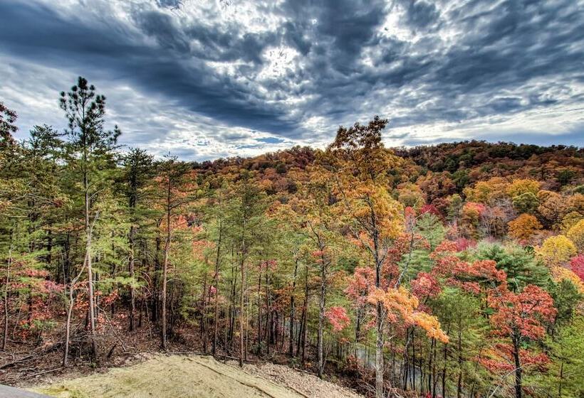 Honey Bear Hill #326