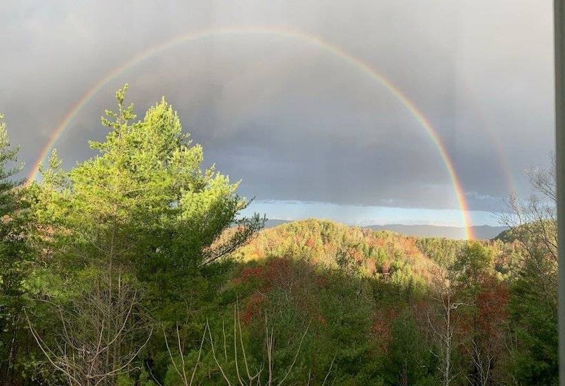 Horsin Around Tennessee