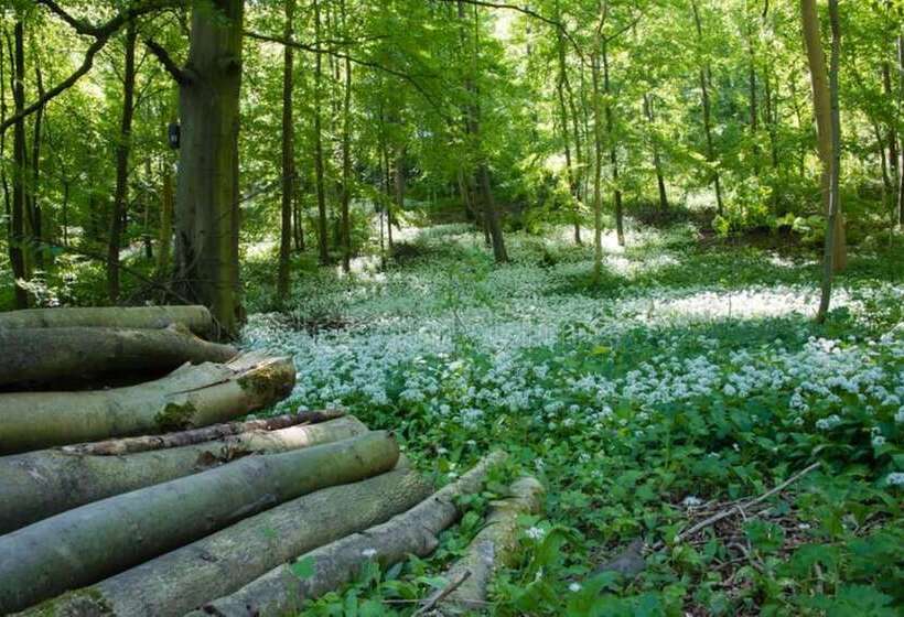 فندق Beautiful 3 Bed Luxury Private Lodge In York