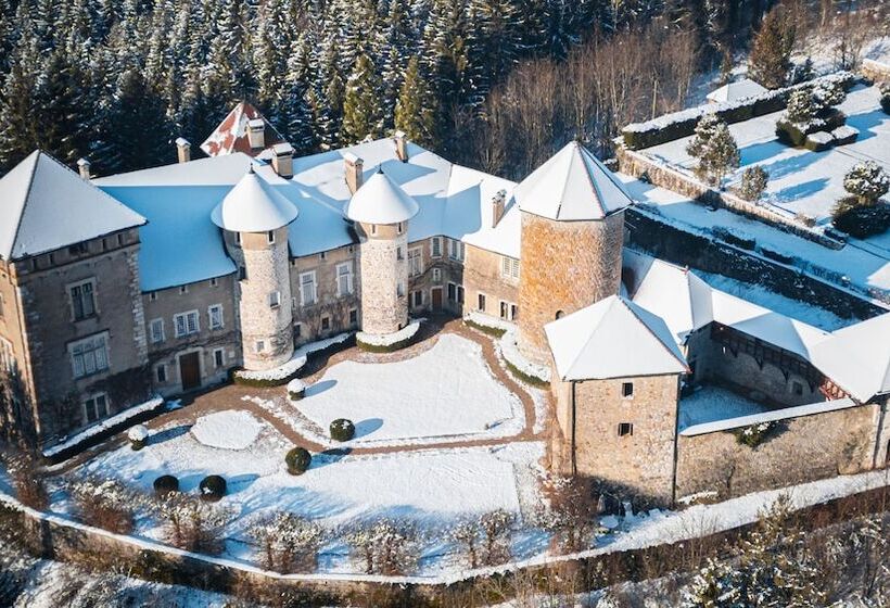 בית מלון כפרי Château De Thorens