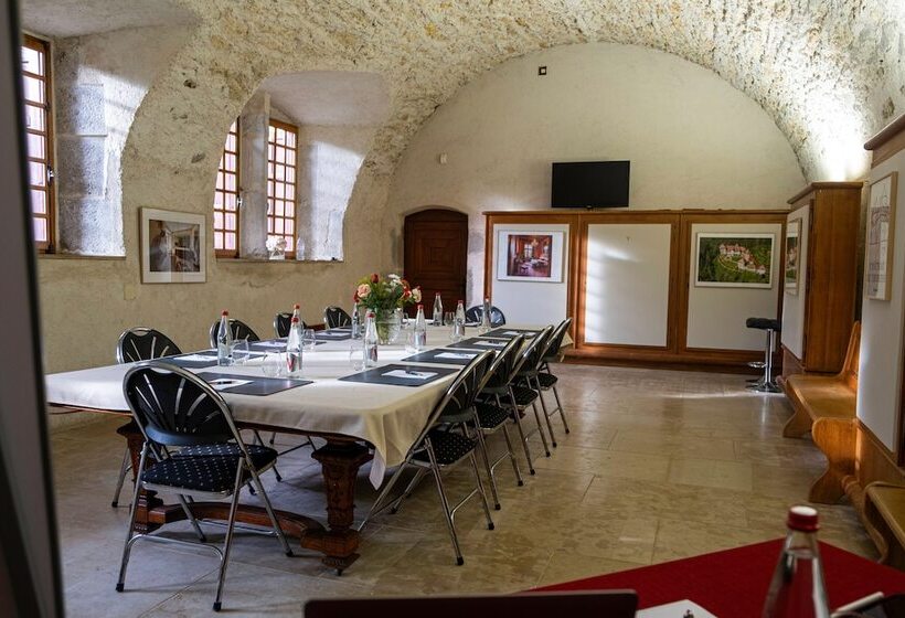 בית מלון כפרי Château De Thorens