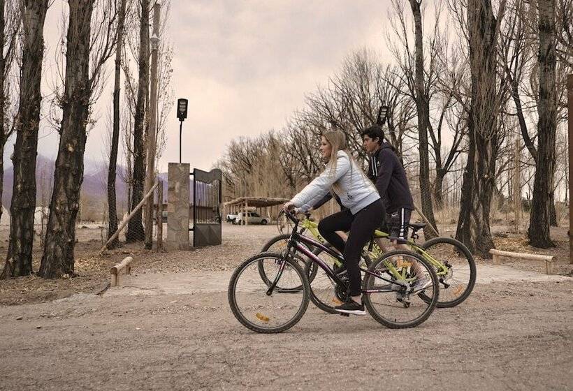 فندق Cinco Cumbres Luxury Camp & Eco Lodge