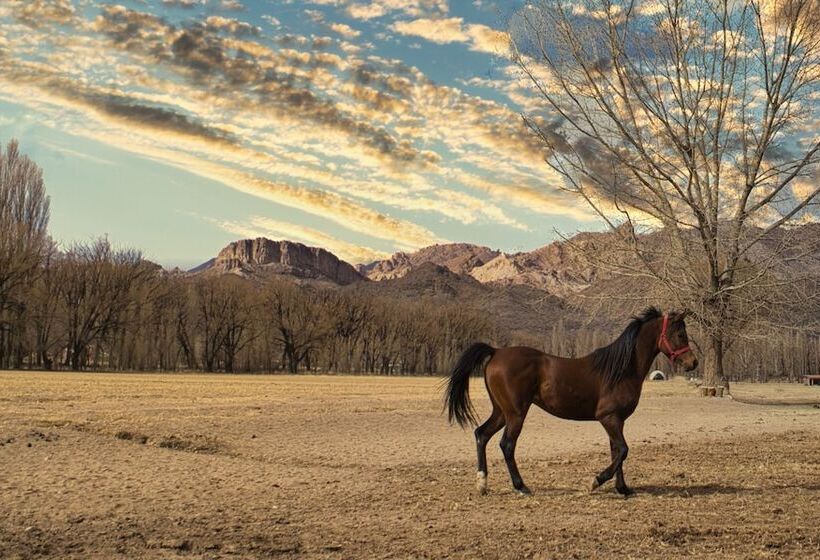 فندق Cinco Cumbres Luxury Camp & Eco Lodge