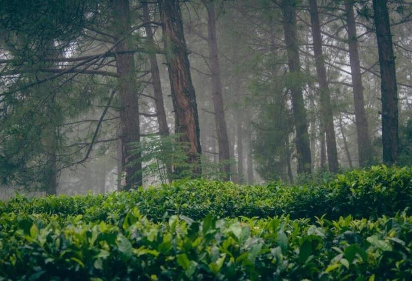 בית מלון כפרי Himalaya Mount View Resort Kausani