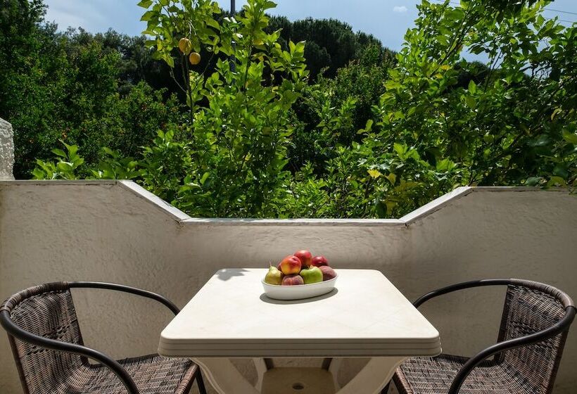 ホテル Koukounaries Beach