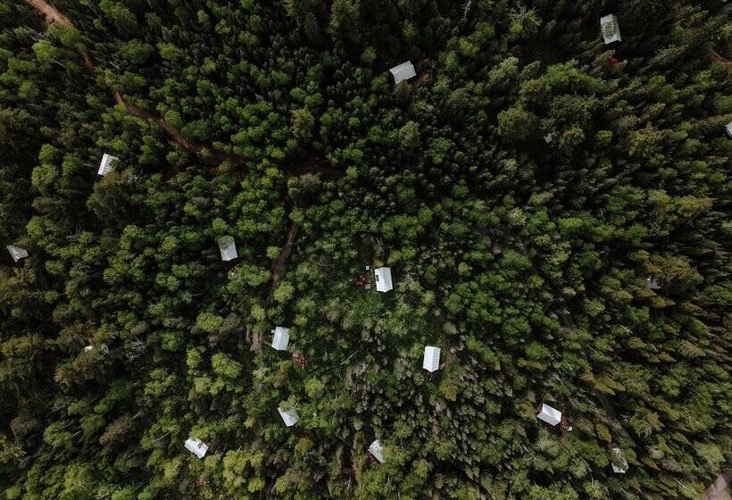 בית מלון כפרי North Shore Camping Company