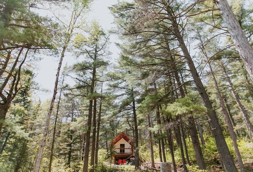 בית מלון כפרי North Shore Camping Company