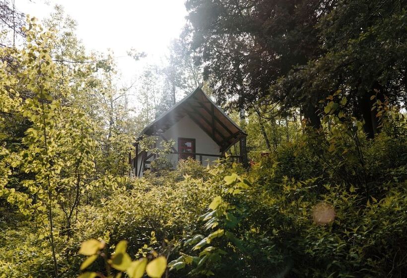 בית מלון כפרי North Shore Camping Company