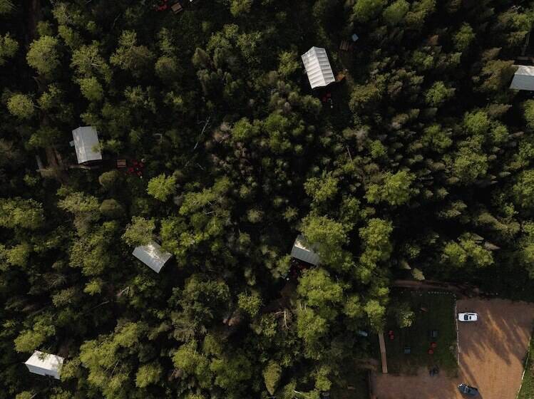 בית מלון כפרי North Shore Camping Company