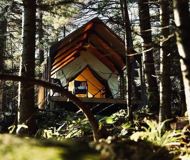 בית מלון כפרי North Shore Camping Company