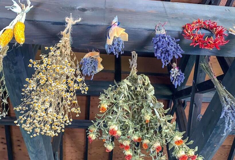 فندق Pastoral Enishinosato