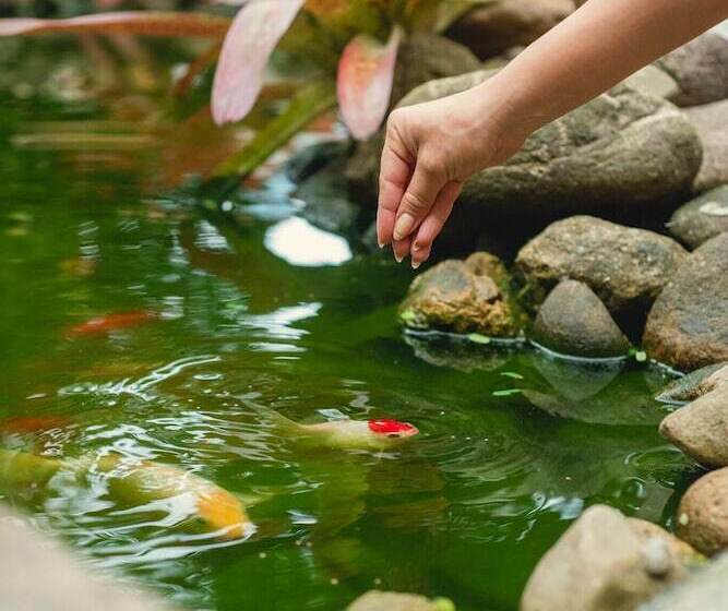 ホテル Pousada Cacau Praia Do Rosa
