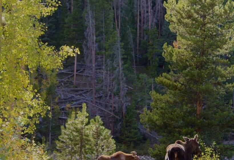 فندق ريفى Arapaho Valley Ranch