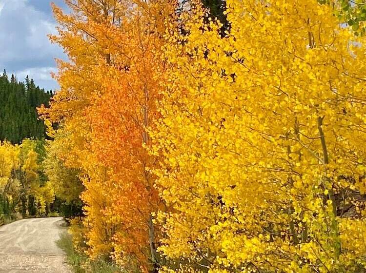 فندق ريفى Arapaho Valley Ranch