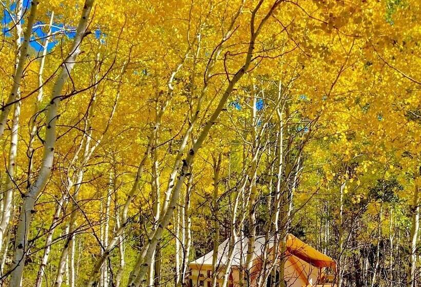 فندق ريفى Arapaho Valley Ranch