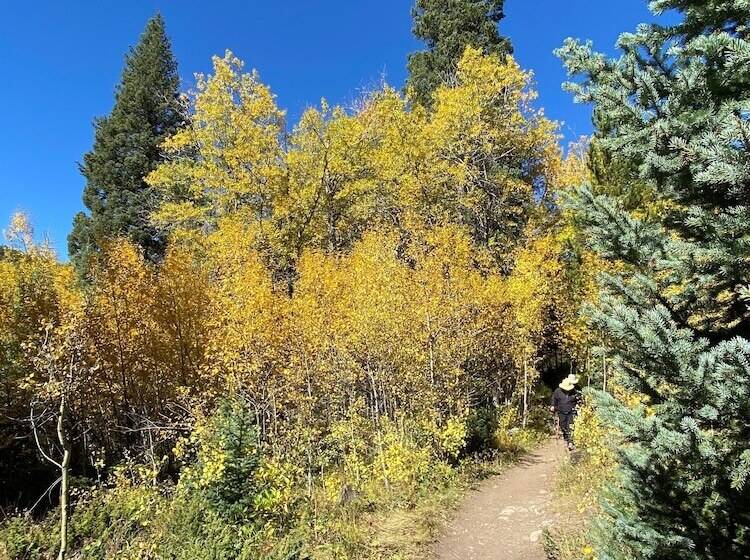 فندق ريفى Arapaho Valley Ranch