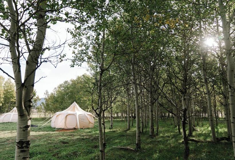 בית מלון כפרי Starlight Retreat Yellowstone