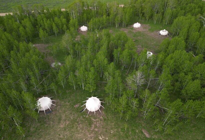 בית מלון כפרי Starlight Retreat Yellowstone