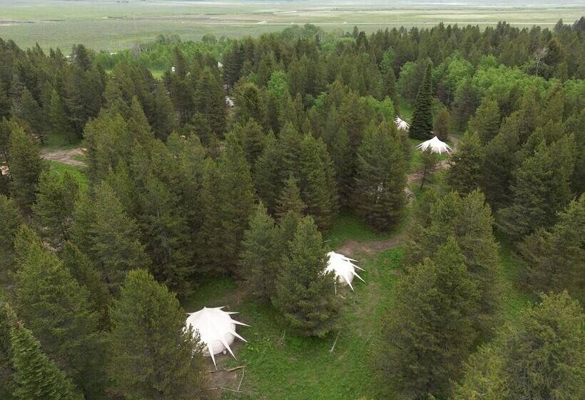 בית מלון כפרי Starlight Retreat Yellowstone