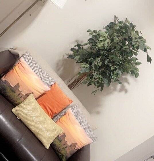 Отель The Hedges