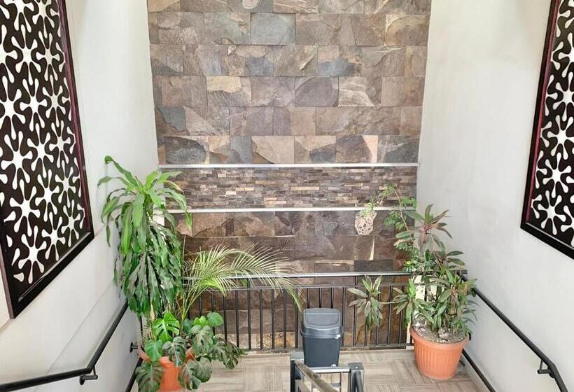 בית מלון כפרי Yorio Inn