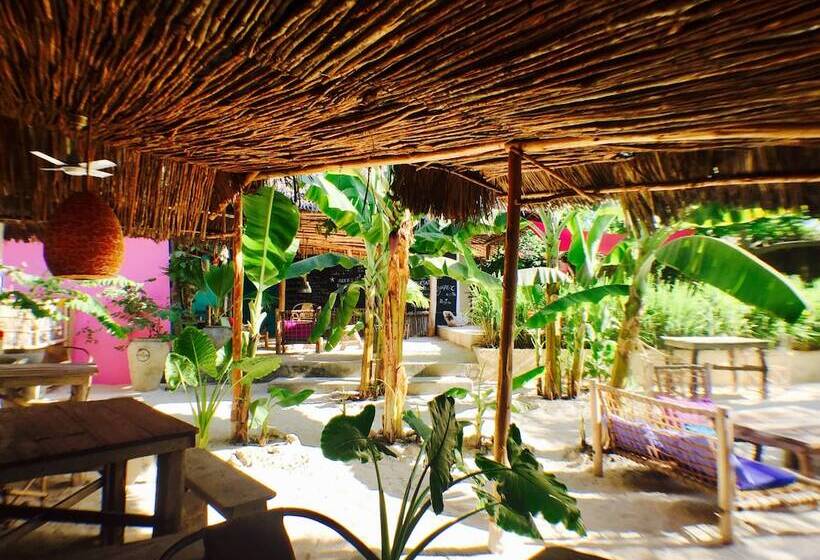 Отель Zanzistar Lodge