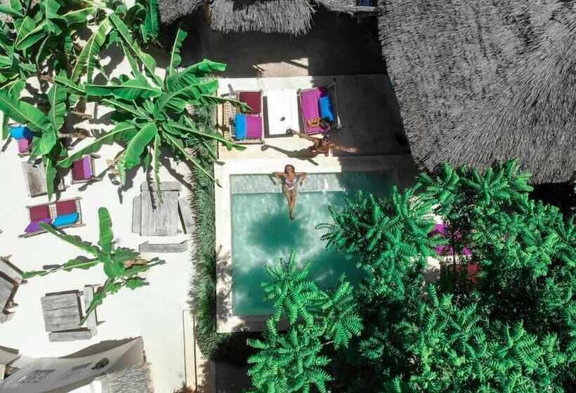 Отель Zanzistar Lodge