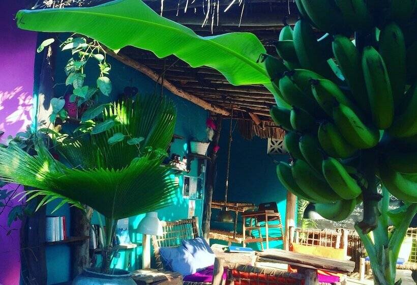 Отель Zanzistar Lodge