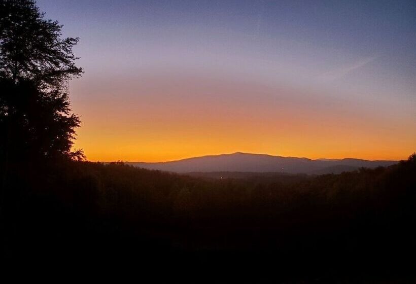 La Hacienda Under The Sun   2 Bedrooms, 2 Baths, Sleeps 4 2 Cabin By Redawning