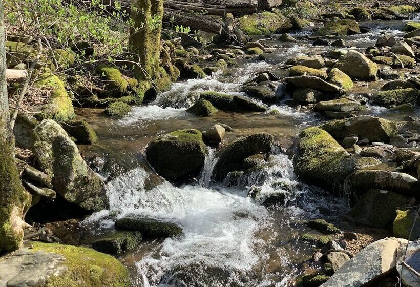 Little Mountain Hideaway