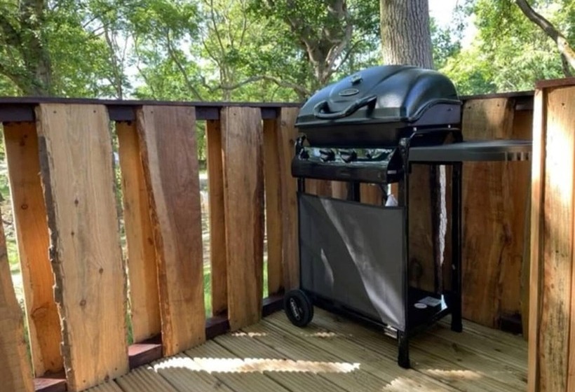 Luxury Cabin In The Woods