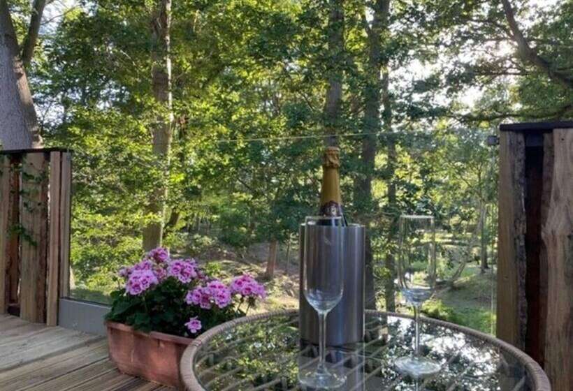 Luxury Cabin In The Woods