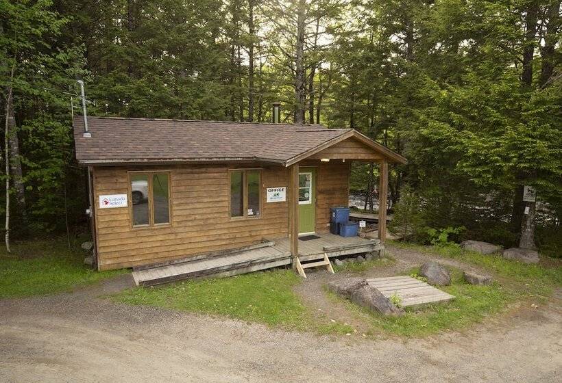 Mersey River Chalets A Nature Retreat