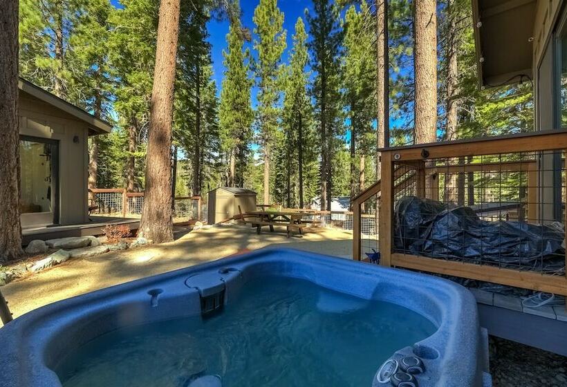 Mountain Pine Memories