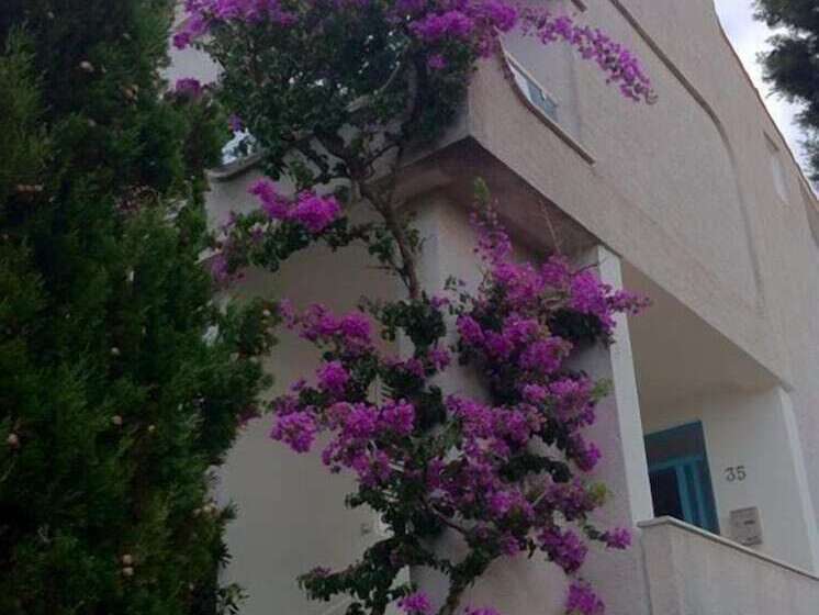 Пансион Guesthouse Punta Mira Beachfront