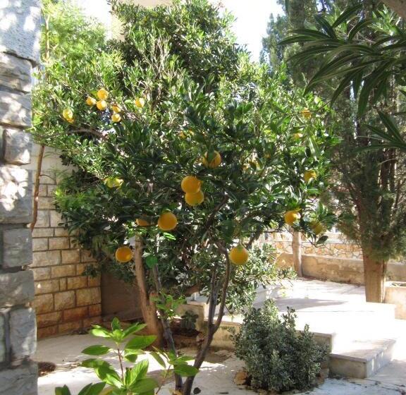 Пансион Guesthouse Punta Mira Beachfront