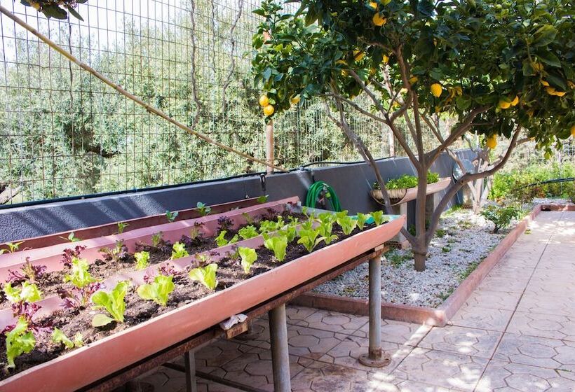 إقامة Aelia Home