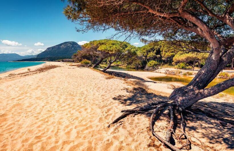 דירת נופש Isa Appartaments In Orosei With Air Conditioning