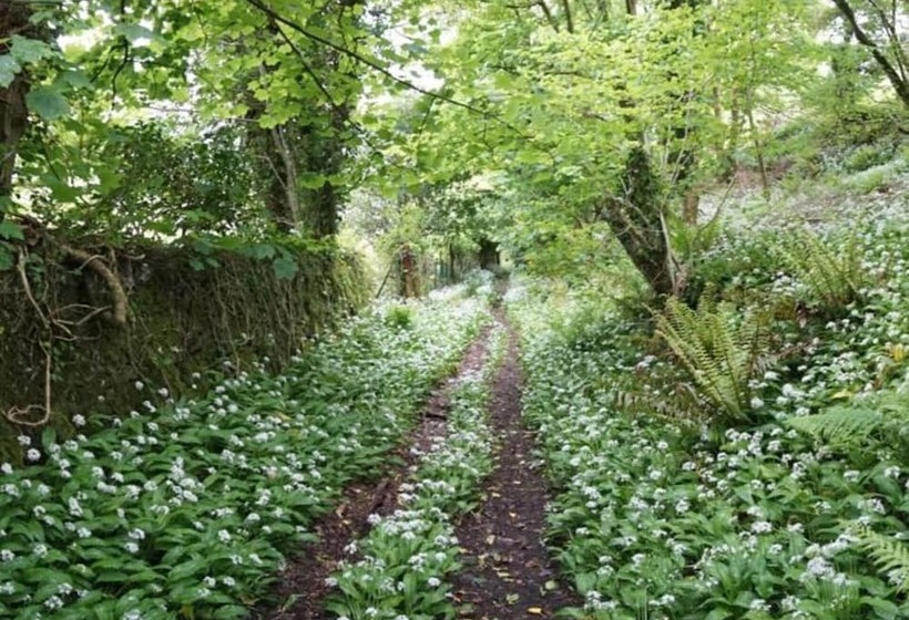 إقامة Coastal Farm Cottage With Epic Views