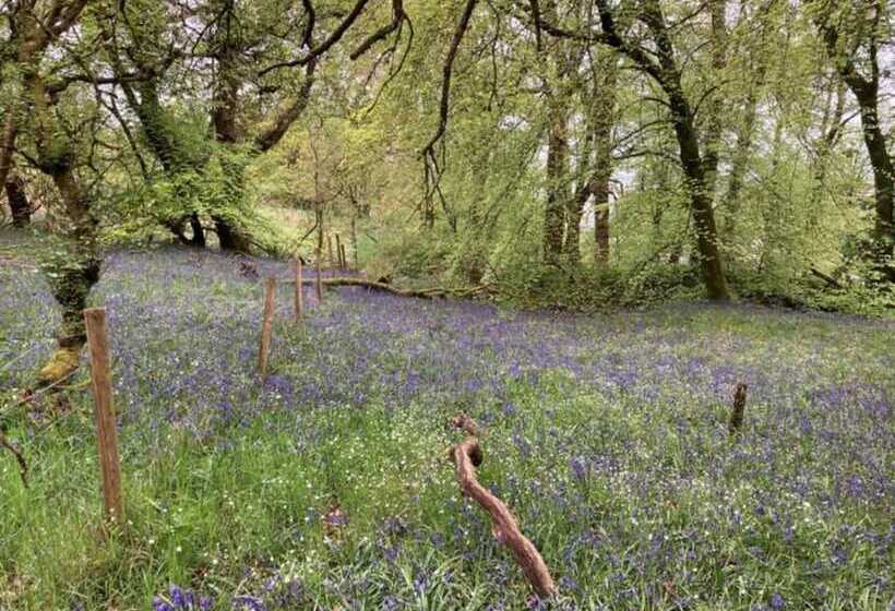 إقامة Coastal Farm Cottage With Epic Views