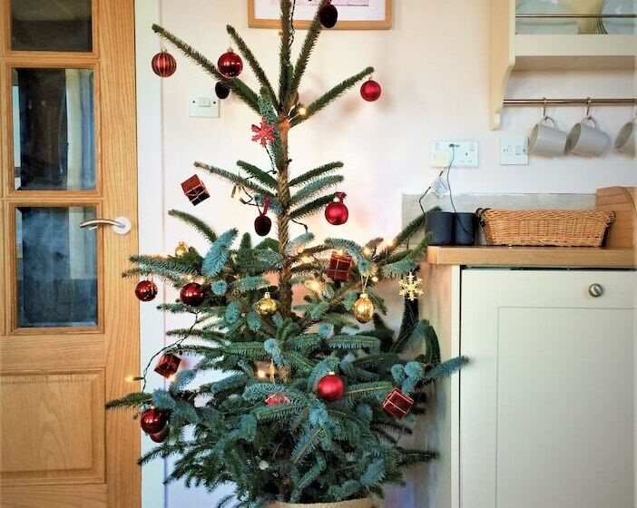 إقامة Coastal Farm Cottage With Epic Views