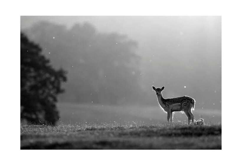 اقامتگاه Cosy And Quirky House In The Heart Of Bakewell