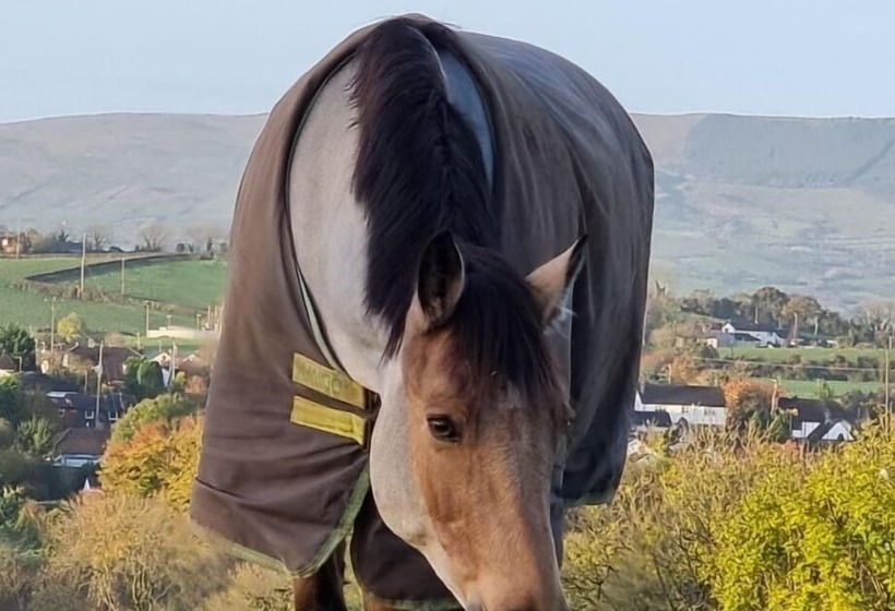 إقامة Captivating & Cosy 4 Bedroom House In Magherafelt