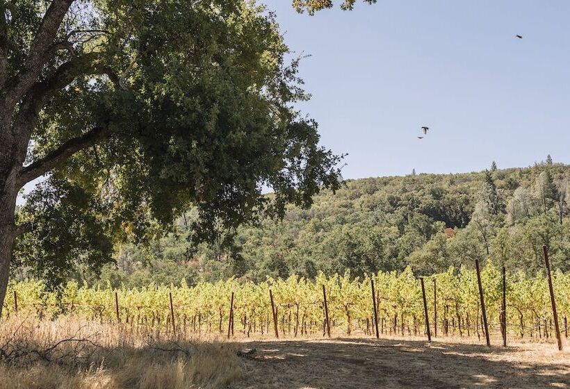 渡假胜地  Huttopia Wine Country