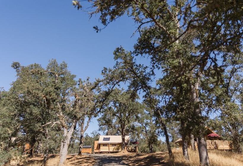 渡假胜地  Huttopia Wine Country