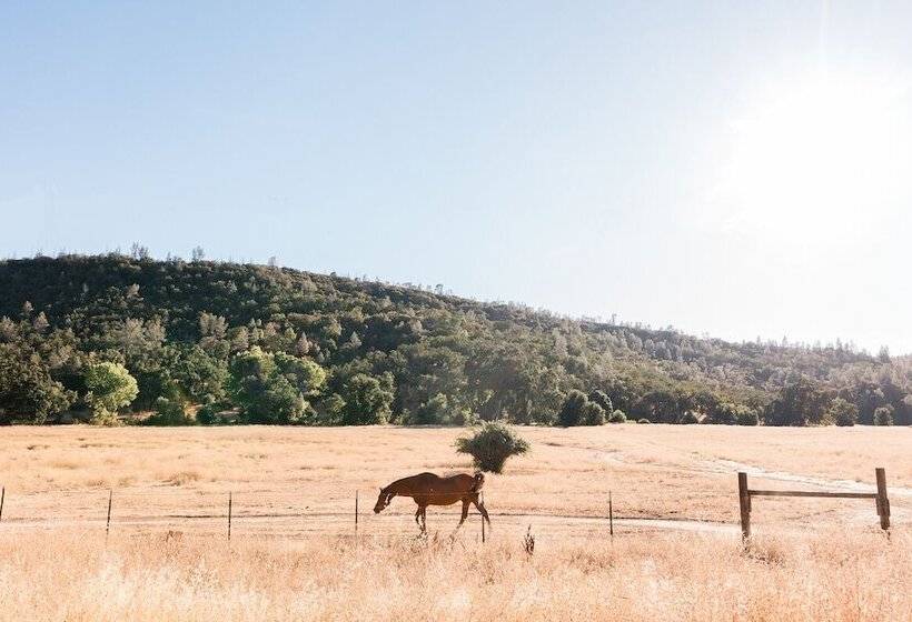 渡假胜地  Huttopia Wine Country