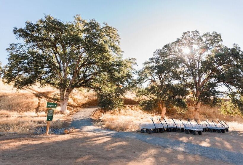 渡假胜地  Huttopia Wine Country