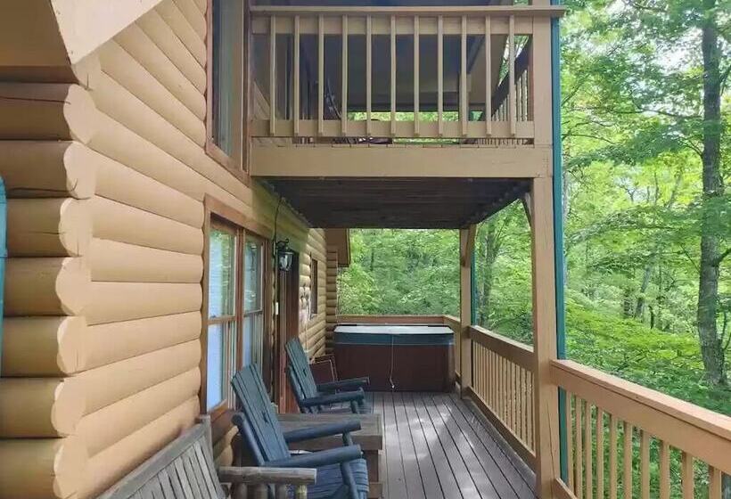 Smoky Mountain Reins #2314